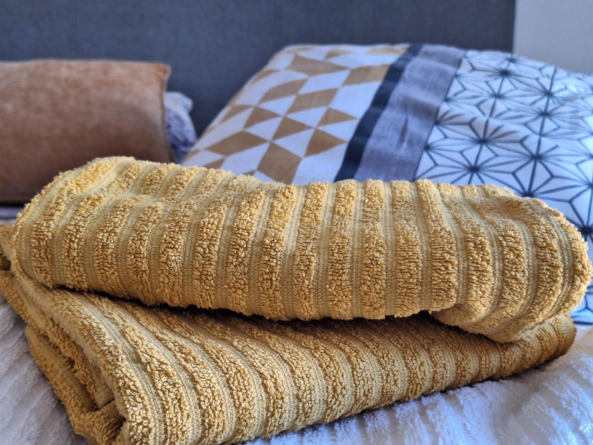 Appartement Chopin Au Coeur De ナンシー エクステリア 写真